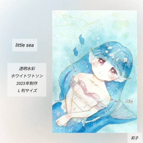 little sea*°イラスト原画のみ