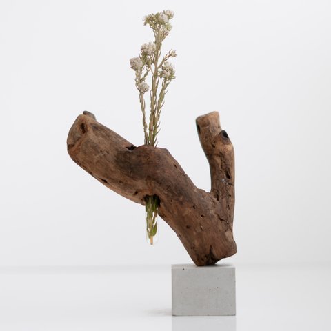 世界にたったひとつあなただけの流木一輪挿し | driftwood flowervase | eda no.2