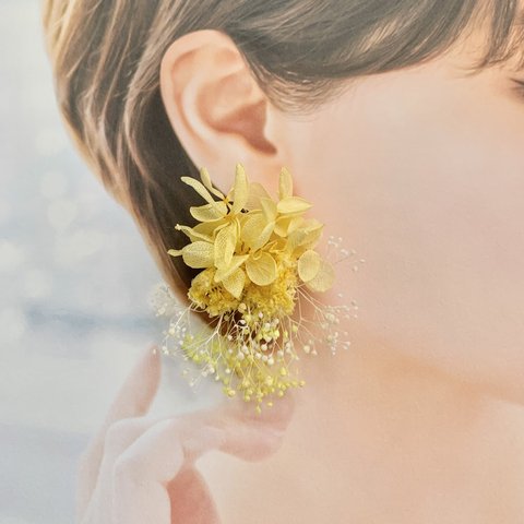 【natural yellow(ミニ)】ドライフラワー　ピアス・イヤリング　ブライダル ウェディング