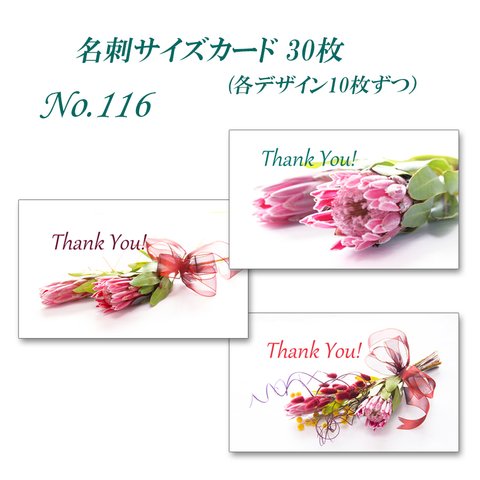 No.116  エキゾチックなプロテア（生花）　 名刺サイズカード　30枚