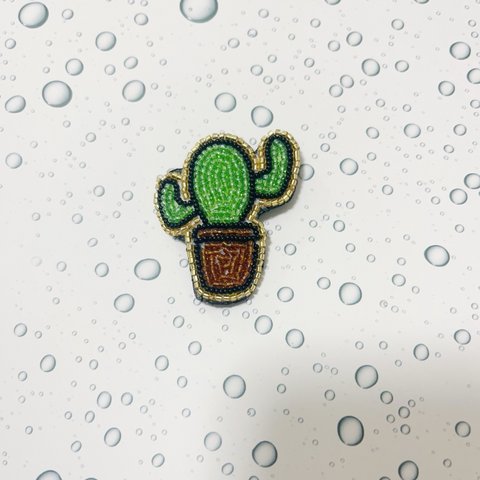 サボテン🌵