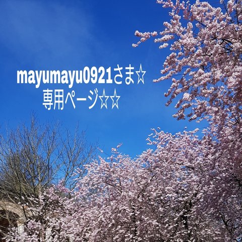 mayumayu0921さま☆専用ページ☆☆