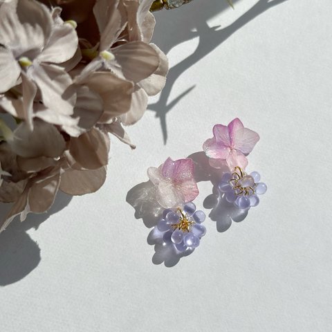 溢れる紫陽花の梅雨ピアス・イヤリング本物の紫陽花