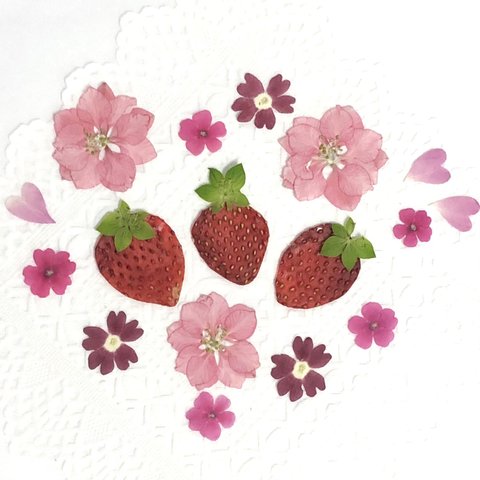 押し花＊三つの🍓ちゃんとピンクのお花少量セットC