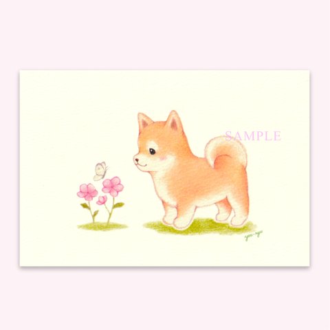 ポストカード『柴犬ちゃんのお散歩』