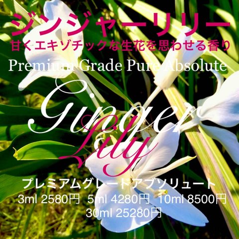 ☆エキゾチックな生花に近い香り☆ジンジャーリリーアブソリュート10ml