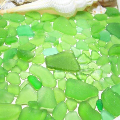 海辺の輝き　グリーン系色極小・小型サイズ大盛カケラクラス（シーグラス）  