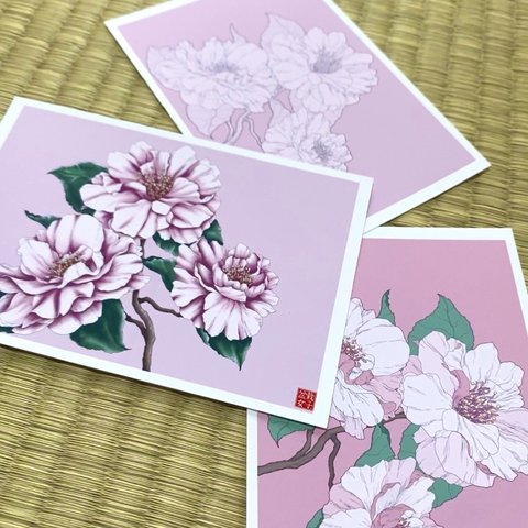 Peony Postcard Set ＃２ 牡丹はがきセット＃２