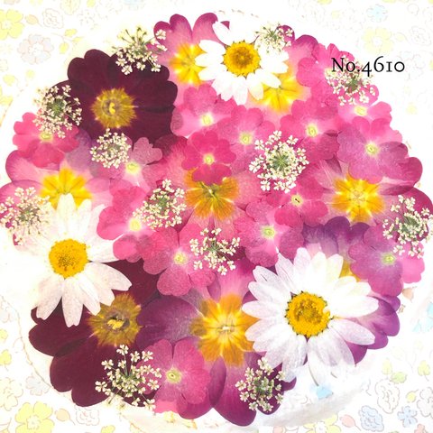 ♡new♡作家様必見♡押し花MIXセット♡押し花セット