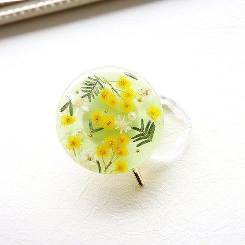 本物のお花のミモザのポニーフック　レジン　ヘアアクセサリ―