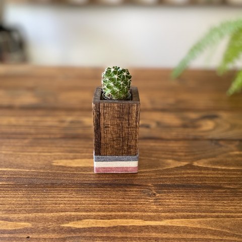 wood cube mini long 🇫🇷(8cm)×ミニサボテン