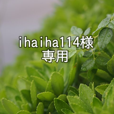 【専用】ihaiha様