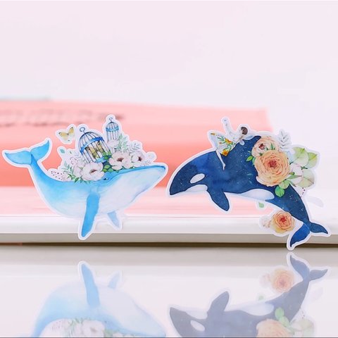 2月21日❣️再販売‼️クジラの夢世界 