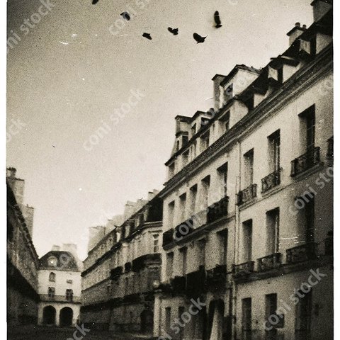 昔のフランスの街、空に飛ぶ鳥たち、モノクロ、アート、古びた写真　conistock_59047_02