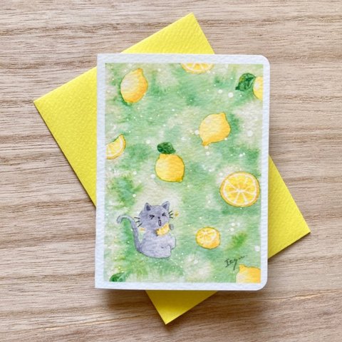 🍋透明水彩画2枚セット 「すっぱいレモン」イラストミニカード  バースデーカード 猫　ネコ　ねこ　フルーツ🍋