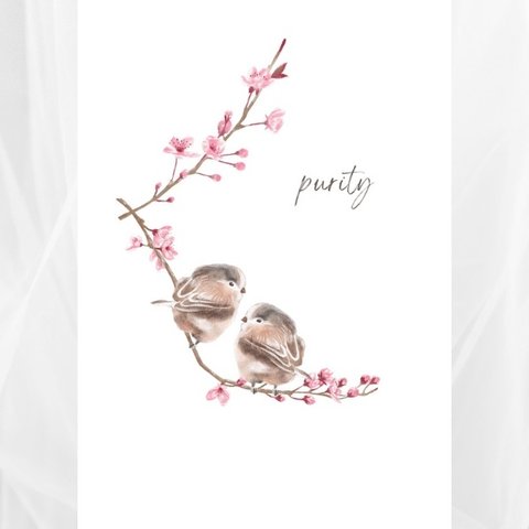 【季節のポストカード】水彩風/桜/3枚セット