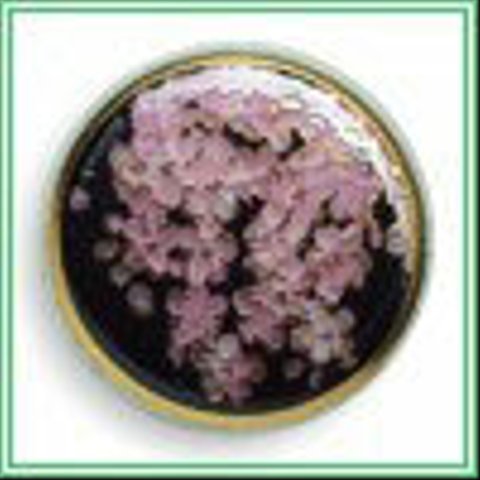 薩摩ボタン(15mm)単品 SB-033(15mm)単品＜桜＞/SBB1-033