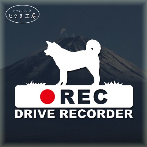 秋田犬の白色シルエットステッカー‼後方注意‼『DRIVE　RECORDER』