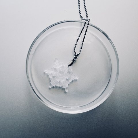 雪の結晶　標本ネックレス