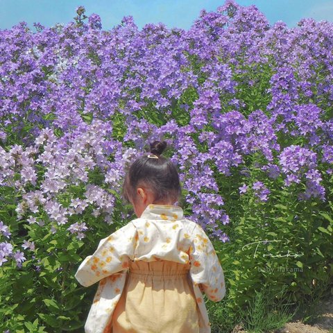 〚受注制作〛 60-100cm ベビー袴 百日祝 お食い初め お宮参り ひなまつり こどもの日 結婚式 衣装 出産祝い