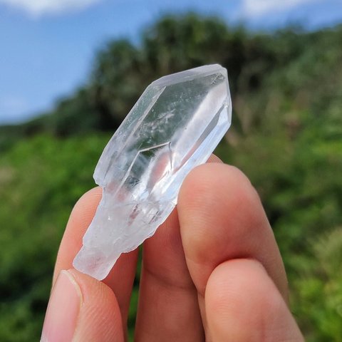 トライゴーニック(Trigonic)/ 松茸水晶(Scepter Quartz)  S00422 水晶