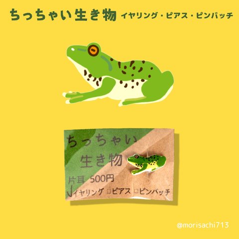 【アクセサリー】ちっちゃい生き物　モリアオガエル