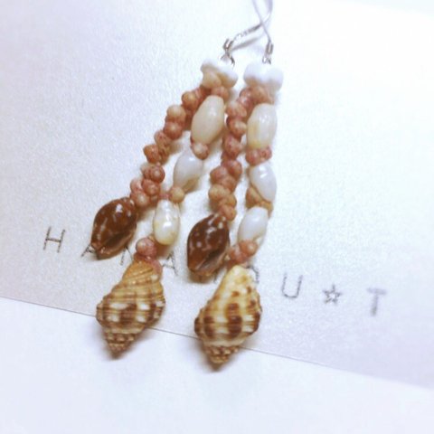 HawaiianShells x miter x drupe shells silver925