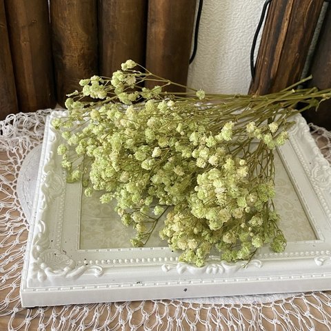 アンティークプリザカスミ草パウダーグリーン小分け❣️ハンドメイド花材プリザーブドフラワー