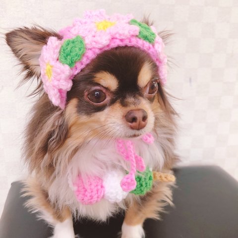 再販‼️犬用＆猫用 桜帽子🌸💖 お花見 三色団子