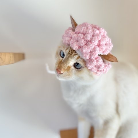 もこもこ桜帽子