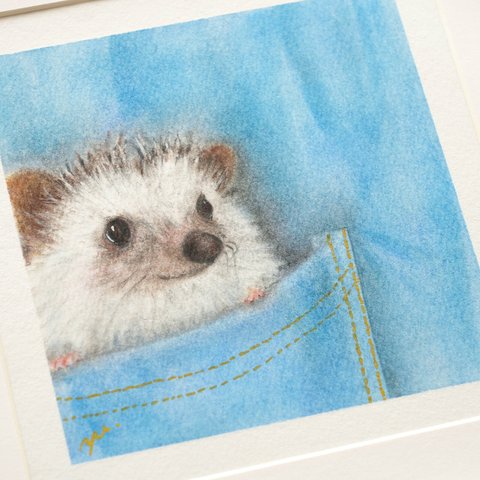 【原画】「ポケットのハリネズミ」　パステルアート　動物　かわいい　イラスト