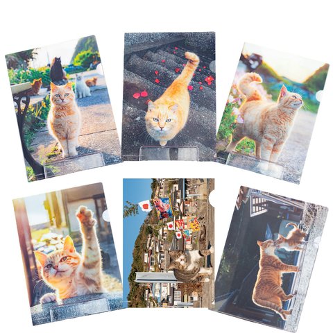 島猫クリアファイル6枚セット　Island Cats A4 file folder 6piece set