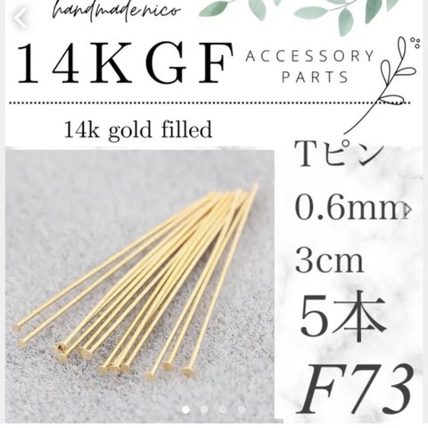 【F73】14kgf 0.6mm 3cm tピン5本