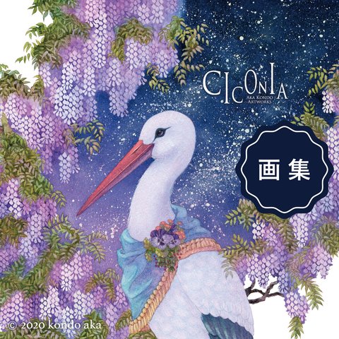 【画集】CICONIA