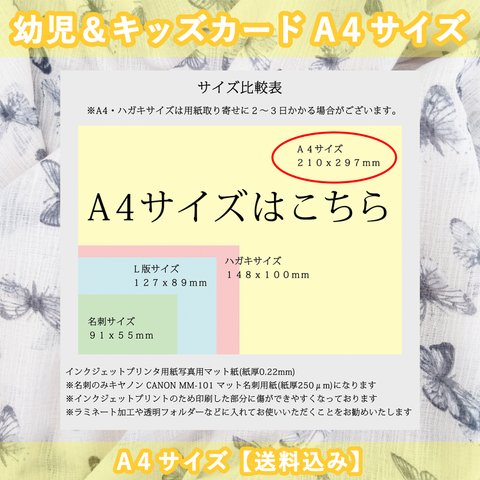 幼児・キッズカードA４サイズ１セット【送料込み】