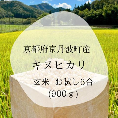 京都府京丹波町産 キヌヒカリ100% 令和5年度産 玄米900g(6合)