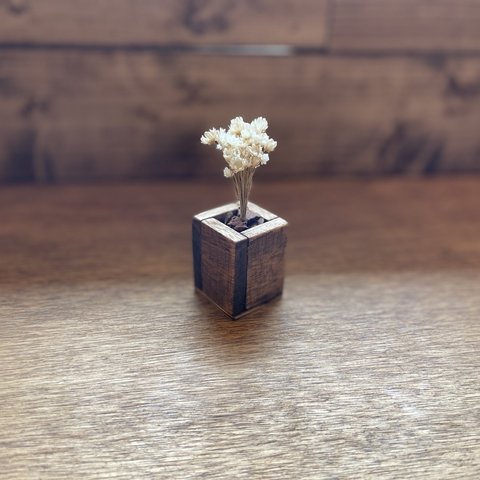 wood cube (mini mini) ダークウォルナット ドライフラワーセット(ホワイト)