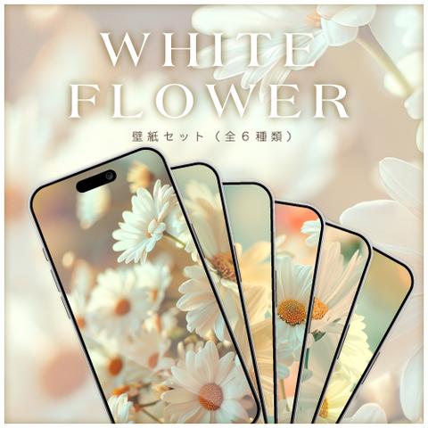 【スマホ壁紙】WHITE FLOWER