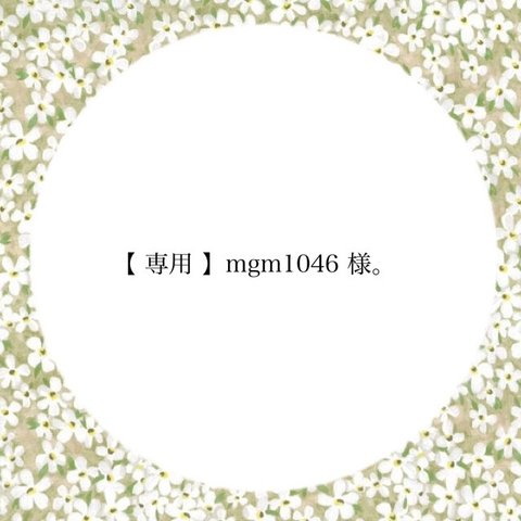 【 専用 】mgm1046 様。