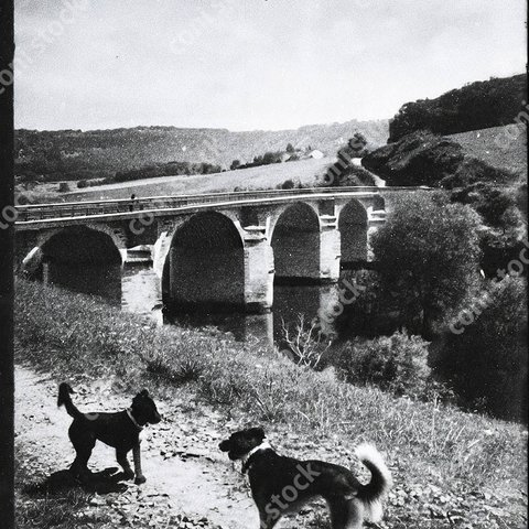 フランス田舎、橋がある川沿いの景色イメージ、犬、モノクロ、アート conistock_4577