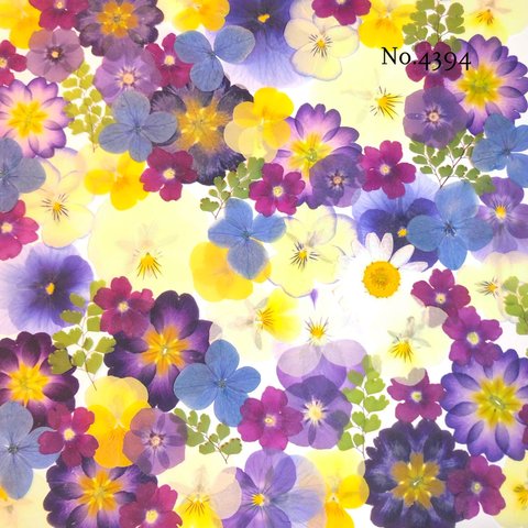 ♡new♡作家様必見♡押し花MIXセット♡押し花セット