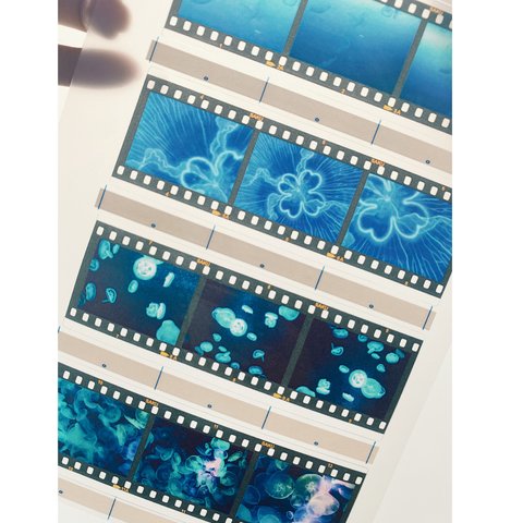 35mm　ポジフィルム風クリアブックマーカー　　クラゲ　４枚セット