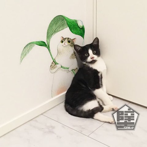 394 壁ステッカー ウォールステッカー 猫 ネコ neko ねこ キャット 葉っぱの傘 大きな葉 葉っぱを持った猫 雨傘 雫 観葉植物 待合室に人気 かわいい キッズ ベビー キッズルーム 子供部屋