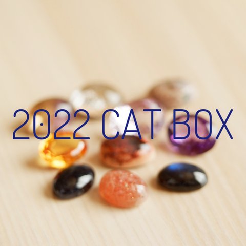＊2022 CAT BOX＊ 3000円
