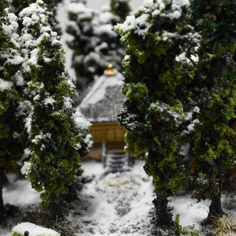 雪の金色堂　the golden temple in snow.