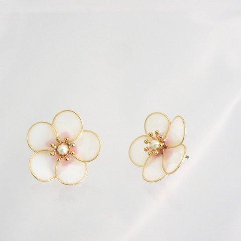 梅の花ピアス．イヤリング（移白）　Plum blossom