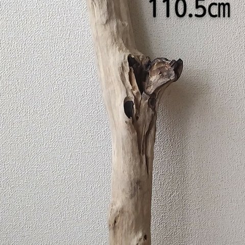 流木　長さ　約１１０．５ｃｍ　