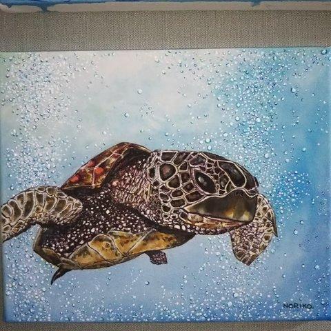 Hawaii     turtle     A3