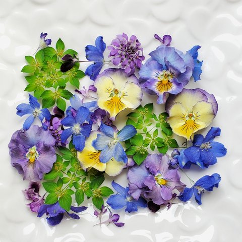 ☆ドライフラワー☆　青系mix　　　　　　花材　素材　小花　レジン