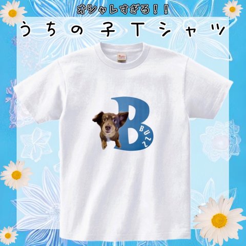 "オリジナルTシャツ" 愛犬　愛猫　Tシャツ　オーダーメイド　うちの子　うちの子グッズ　犬　猫　長袖　半袖　オリジナル　名入れ　ペット　ペットグッズ
